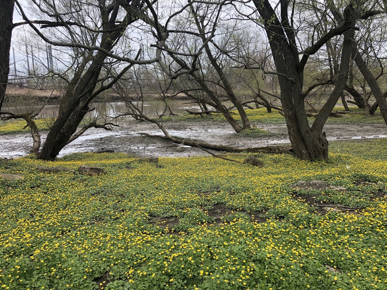 Garden where you're planted, 5/4–11